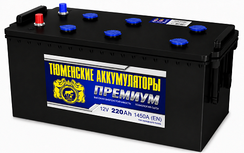 6СТ-220L/LR (Ca/Ca)